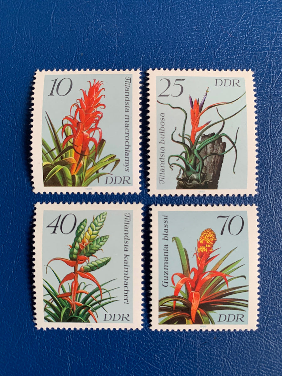 Germany (DDR) - Original Vintage Postage Stamps- 1980 - Bromeliads - for the collector, artist or crafter