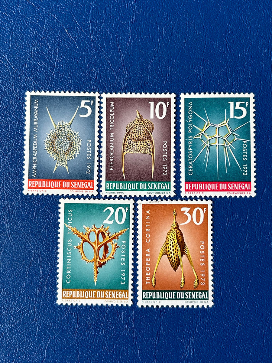 Senegal - Original Vintage Postage Stamps- 1972 - Radiolarian (Aquatic Organisms)- for the collector, artist or crafter