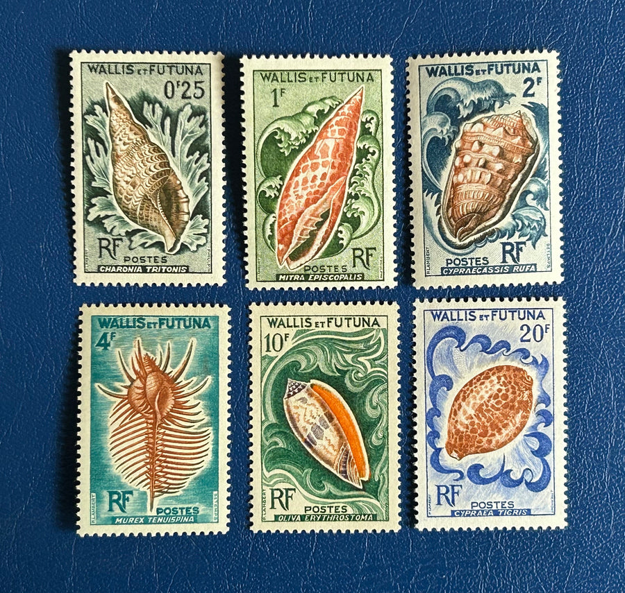 Wallis & Fortuna - Original Vintage Postage Stamps- 1963 - Shells - for the collector, artist or crafter