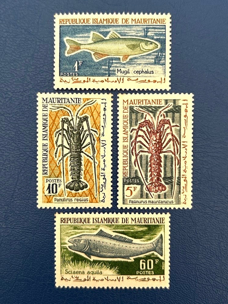 Mauritania - Original Vintage Postage Stamps- 1964 Sea Life - for the collector, artist or crafter